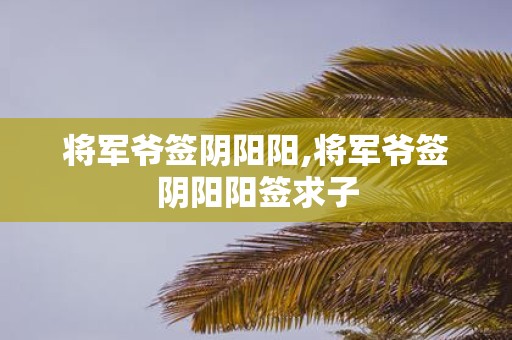 将军爷签阴阳阳,将军爷签阴阳阳签求子