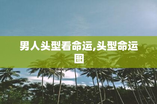 男人头型看命运,头型命运图
