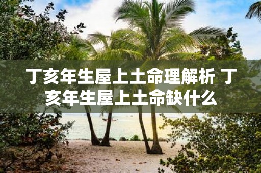 丁亥年生屋上土命理解析 丁亥年生屋上土命缺什么