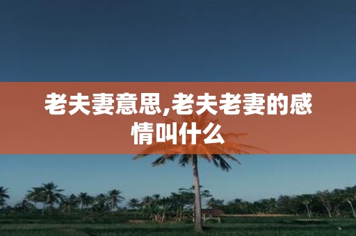 老夫妻意思,老夫老妻的感情叫什么