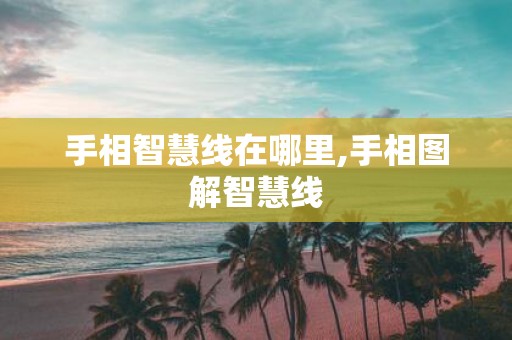 手相智慧线在哪里,手相图解智慧线