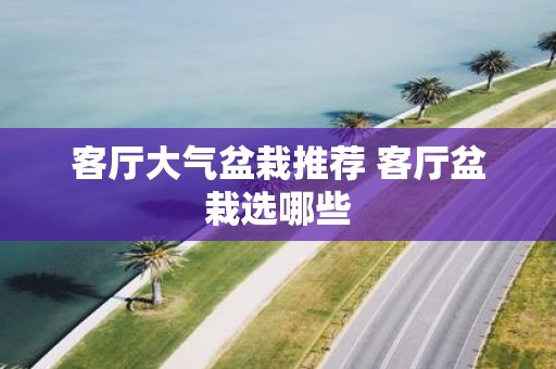 客厅大气盆栽推荐 客厅盆栽选哪些