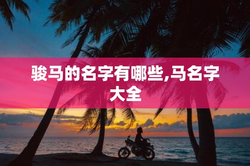 骏马的名字有哪些,马名字大全