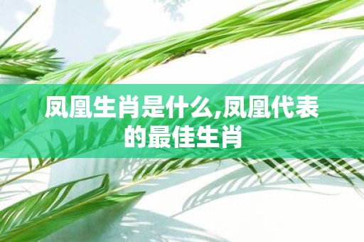 凤凰生肖是什么,凤凰代表的最佳生肖