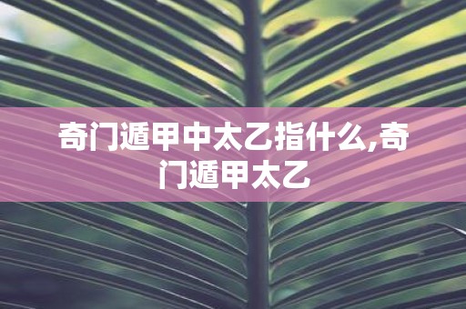 奇门遁甲中太乙指什么,奇门遁甲太乙