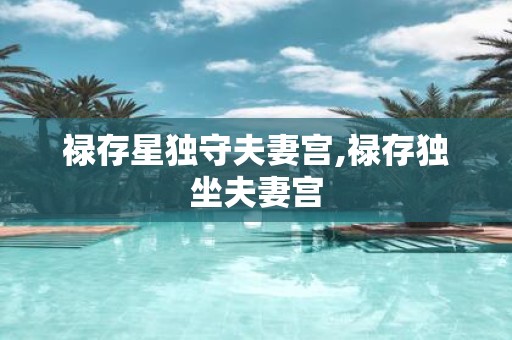 禄存星独守夫妻宫,禄存独坐夫妻宫