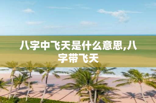 八字中飞天是什么意思,八字带飞天