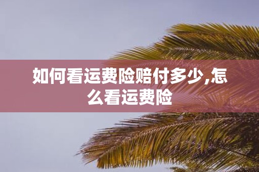 如何看运费险赔付多少,怎么看运费险