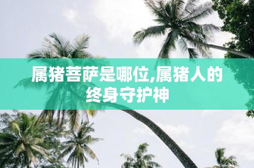 属猪菩萨是哪位,属猪人的终身守护神