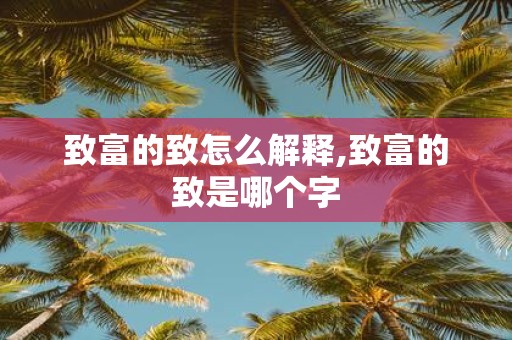 致富的致怎么解释,致富的致是哪个字