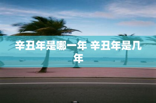 辛丑年是哪一年 辛丑年是几年