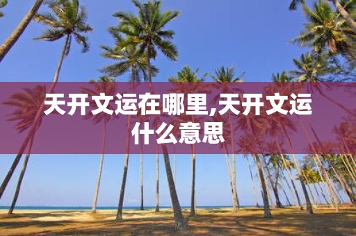 天开文运在哪里,天开文运什么意思