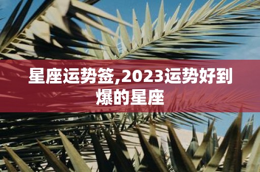 星座运势签,2025运势好到爆的星座