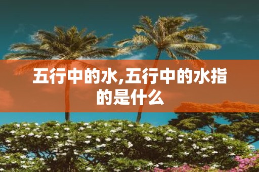 五行中的水,五行中的水指的是什么