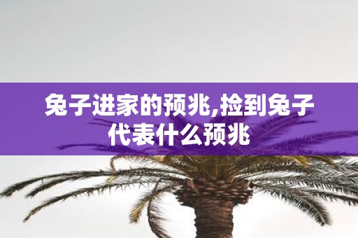 兔子进家的预兆,捡到兔子代表什么预兆
