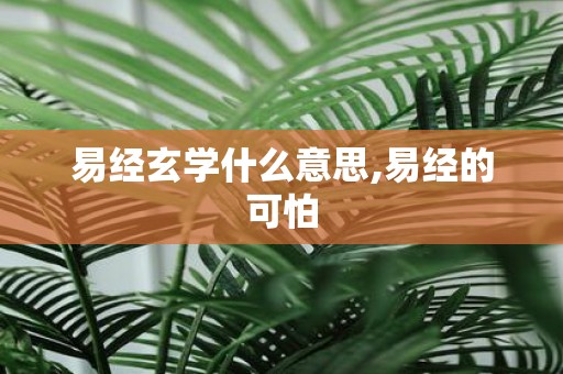 易经玄学什么意思,易经的可怕