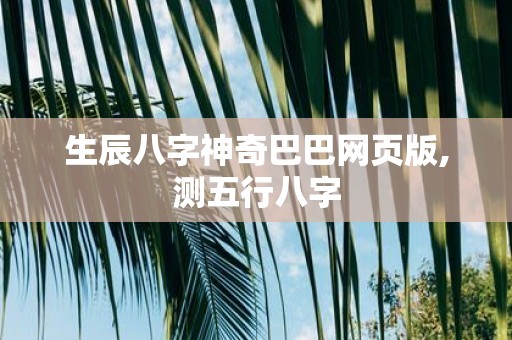 生辰八字神奇巴巴网页版,测五行八字