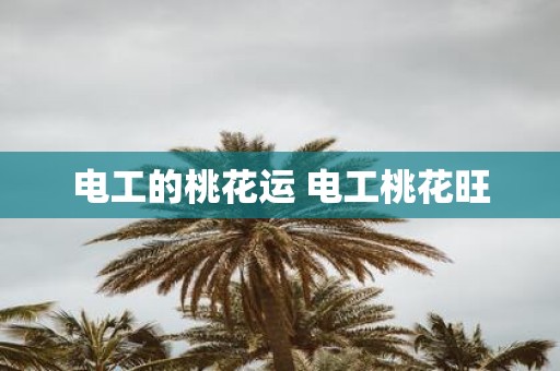 电工的桃花运 电工桃花旺