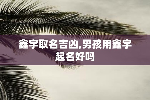 鑫字取名吉凶,男孩用鑫字起名好吗