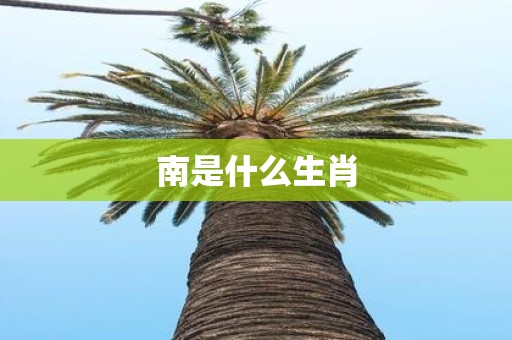 南是什么生肖