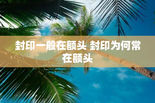 封印一般在额头 封印为何常在额头