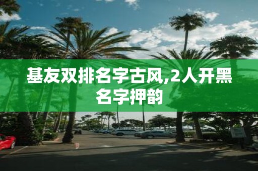 基友双排名字古风,2人开黑名字押韵