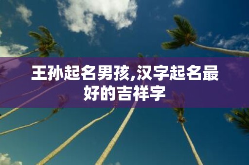 王孙起名男孩,汉字起名最好的吉祥字