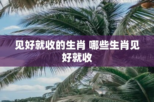 见好就收的生肖 哪些生肖见好就收