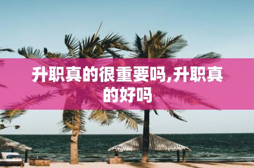升职真的很重要吗,升职真的好吗