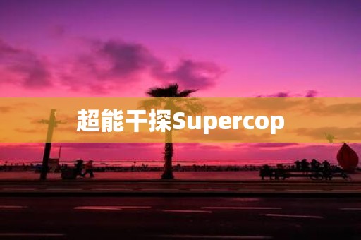 超能干探Supercop