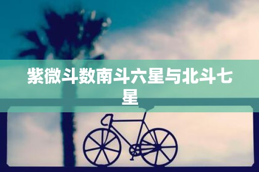 紫微斗数南斗六星与北斗七星