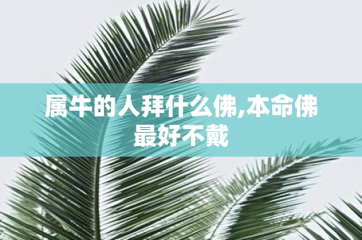 属牛的人拜什么佛,本命佛最好不戴