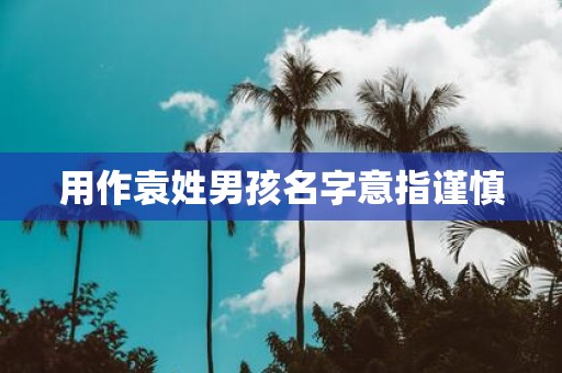 用作袁姓男孩名字意指谨慎