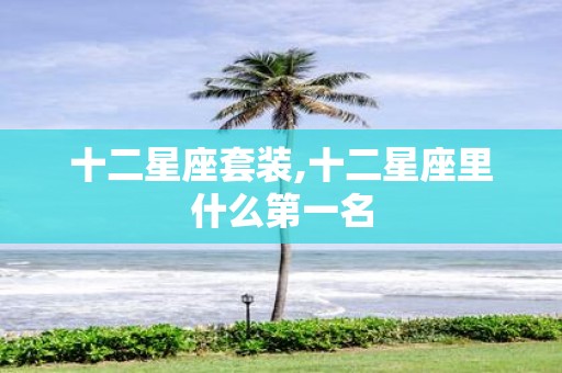 十二星座套装,十二星座里什么第一名