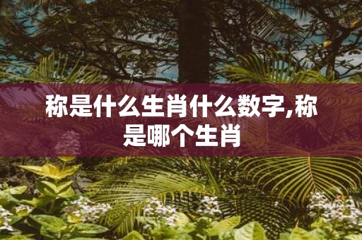 称是什么生肖什么数字,称是哪个生肖