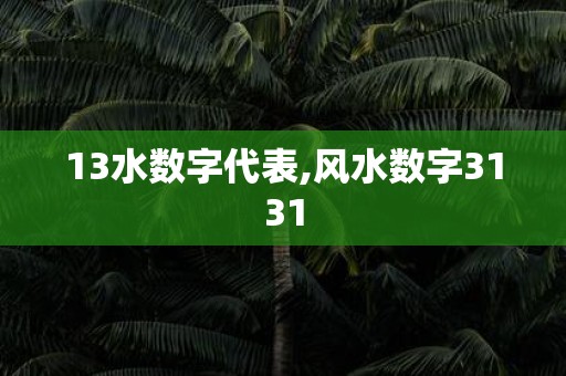 13水数字代表,风水数字3131