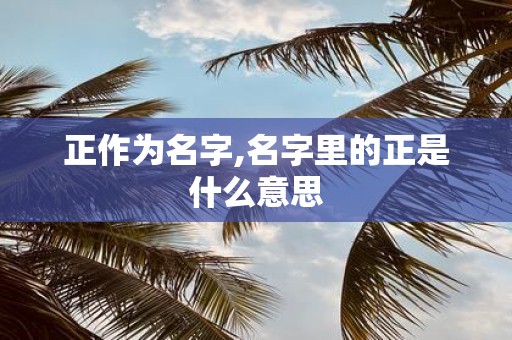 正作为名字,名字里的正是什么意思