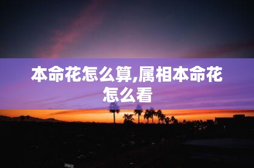本命花怎么算,属相本命花怎么看