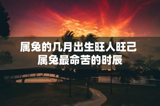 属兔的几月出生旺人旺己 属兔最命苦的时辰