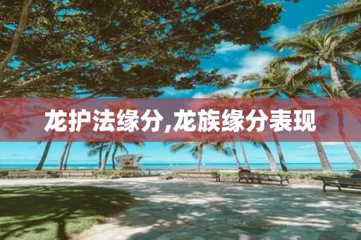 龙护法缘分,龙族缘分表现