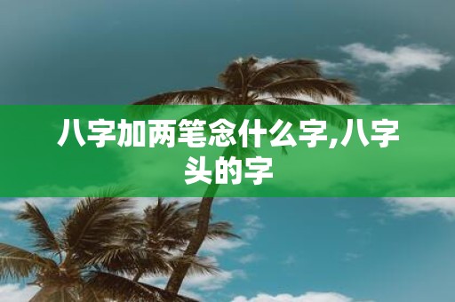 八字加两笔念什么字,八字头的字