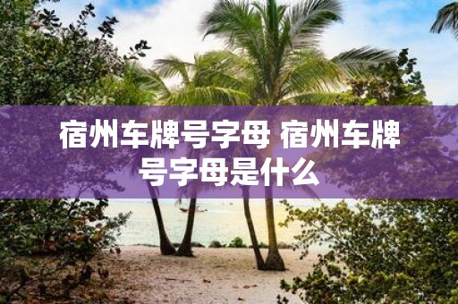 宿州车牌号字母 宿州车牌号字母是什么