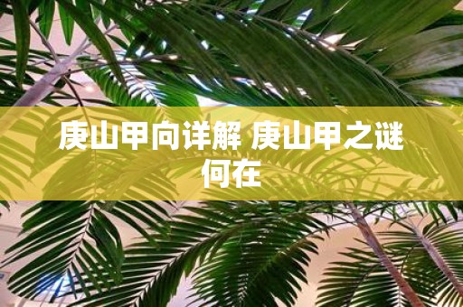 庚山甲向详解 庚山甲之谜何在