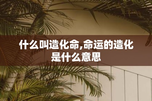 什么叫造化命,命运的造化是什么意思