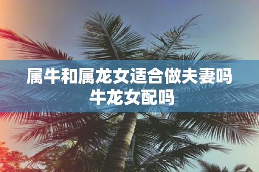 属牛和属龙女适合做夫妻吗 牛龙女配吗