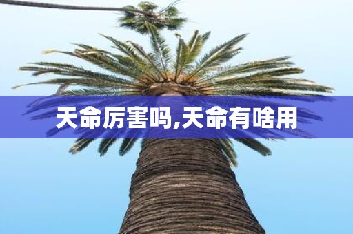 天命厉害吗,天命有啥用