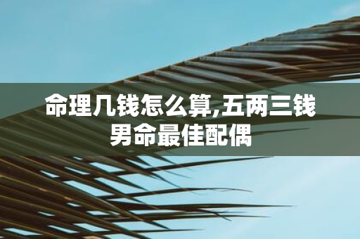 命理几钱怎么算,五两三钱男命最佳配偶