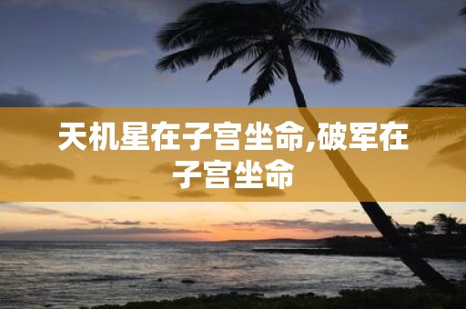 天机星在子宫坐命,破军在子宫坐命