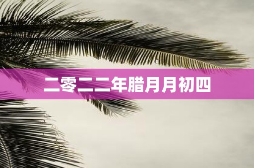 二零二二年腊月月初四