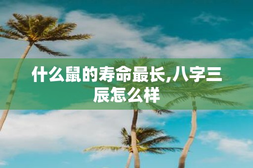 什么鼠的寿命最长,八字三辰怎么样